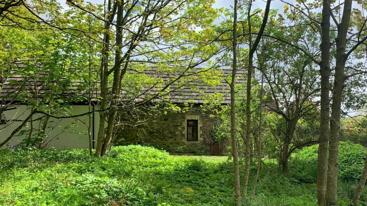 Gallery Cottage Aberdeen Eksteriør bilde